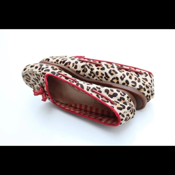 Sperry flats - Picture 13 of 14